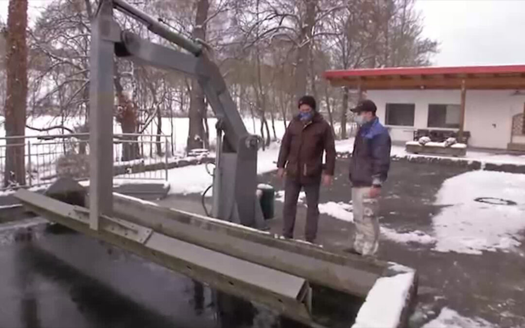 Neuer Erlass bedroht Wassermühlen