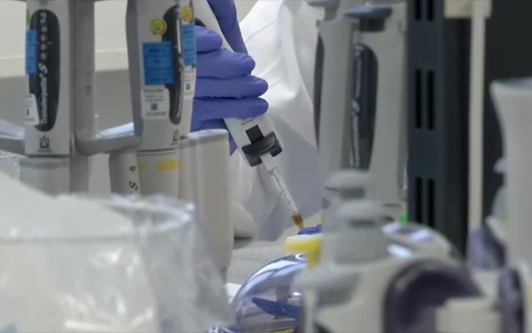 Bioscientia: Auf den Spuren der Mutationen