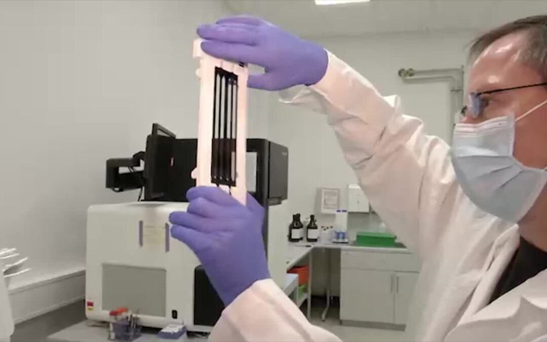 Bioscientia: Ingelheimer Labor forscht an Mutanten