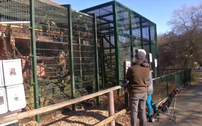 Menschen freuen sich auf einen Besuch im Zoo