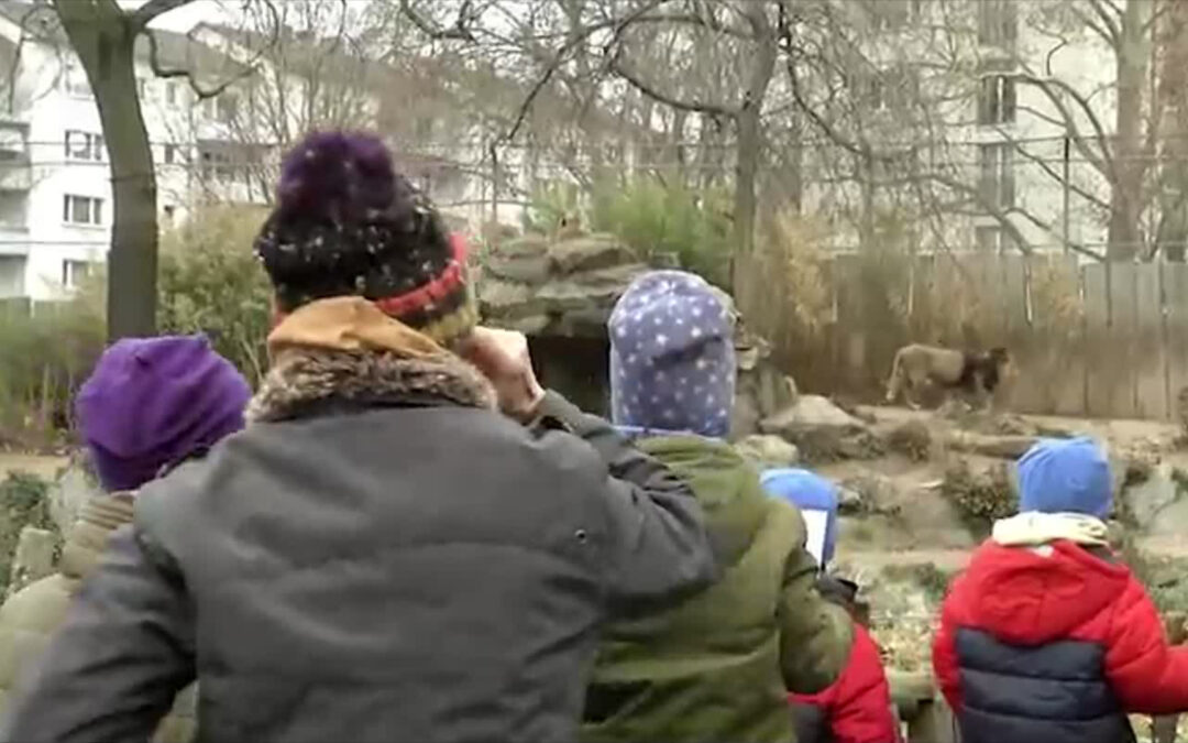 Zoo Frankfurt wieder für Besucher geöffnet