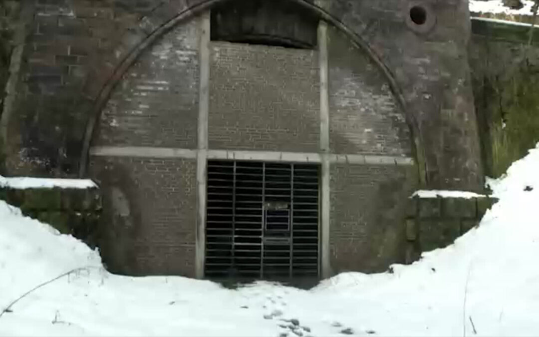 Zählappell im Fledermaus-Tunnel