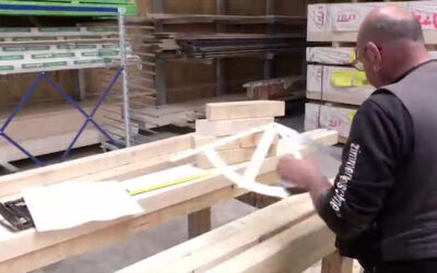 Holz – das Gold des Waldes