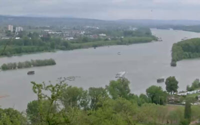 Doch keine Brücke zwischen Bingen und Rüdesheim?