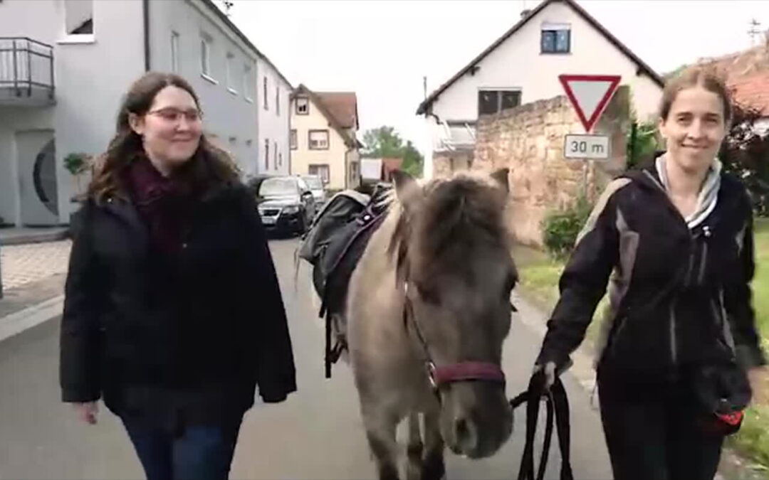 In Freimersheim kommen Bücher mit dem Ponyexpress
