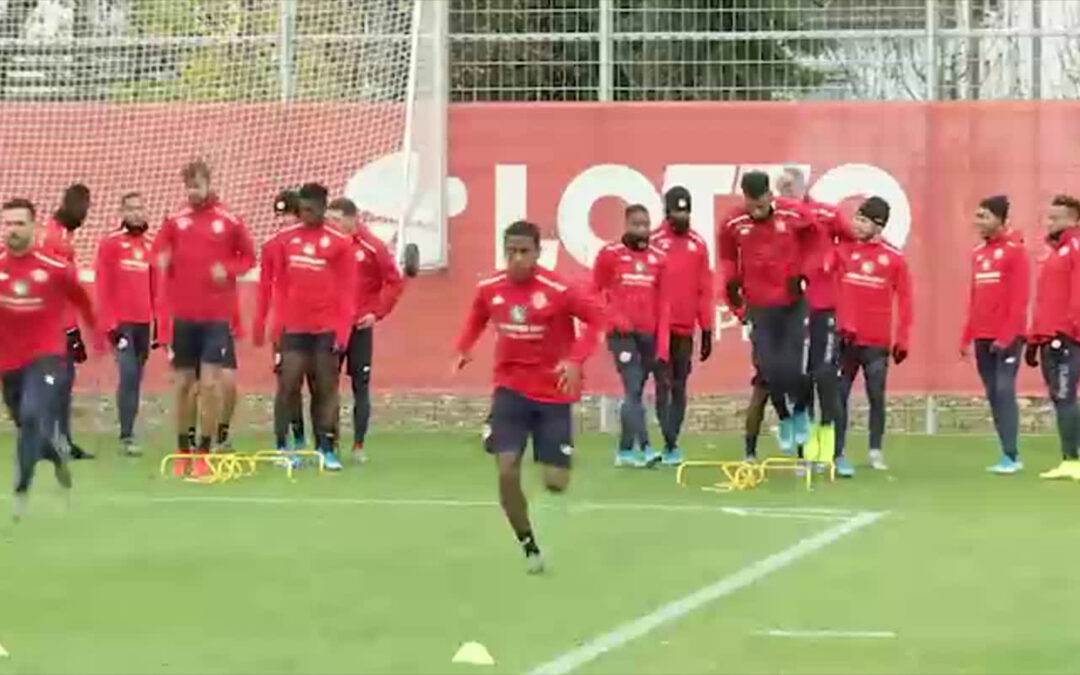 Wie gut wird der Kader vom 1. FSV Mainz 05?