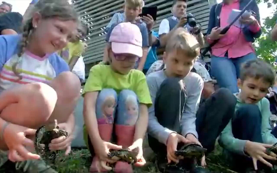 Wiederansiedlung von Sumpfschildkröten