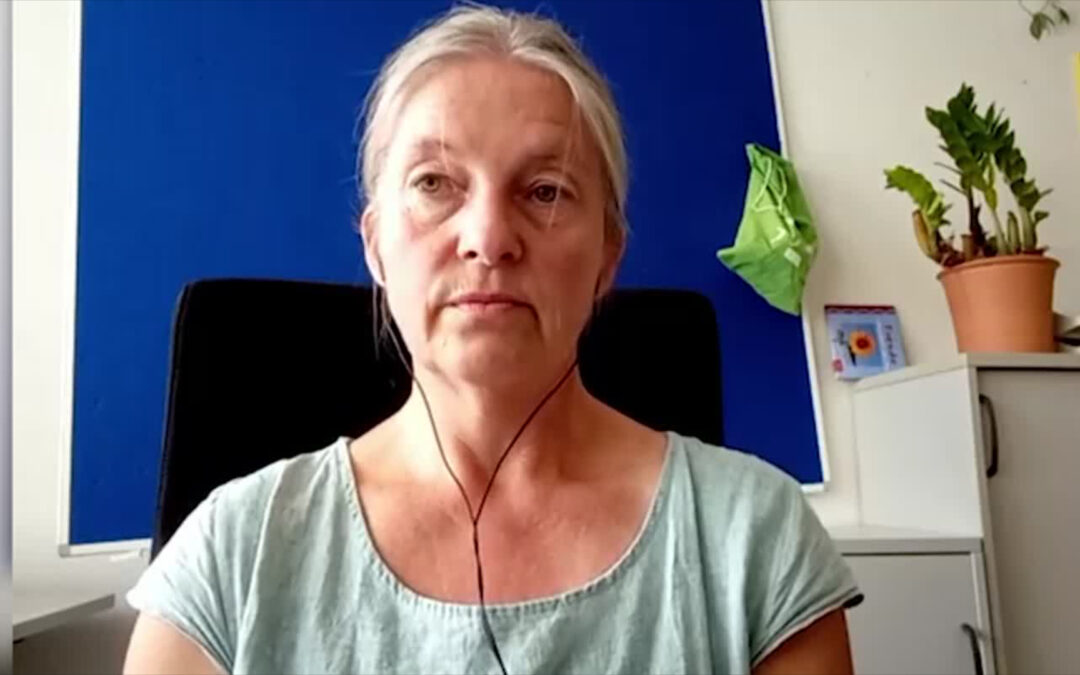 Grüne wollen Landrat Pföhler abwählen