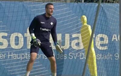 Lilien wieder in der Spur