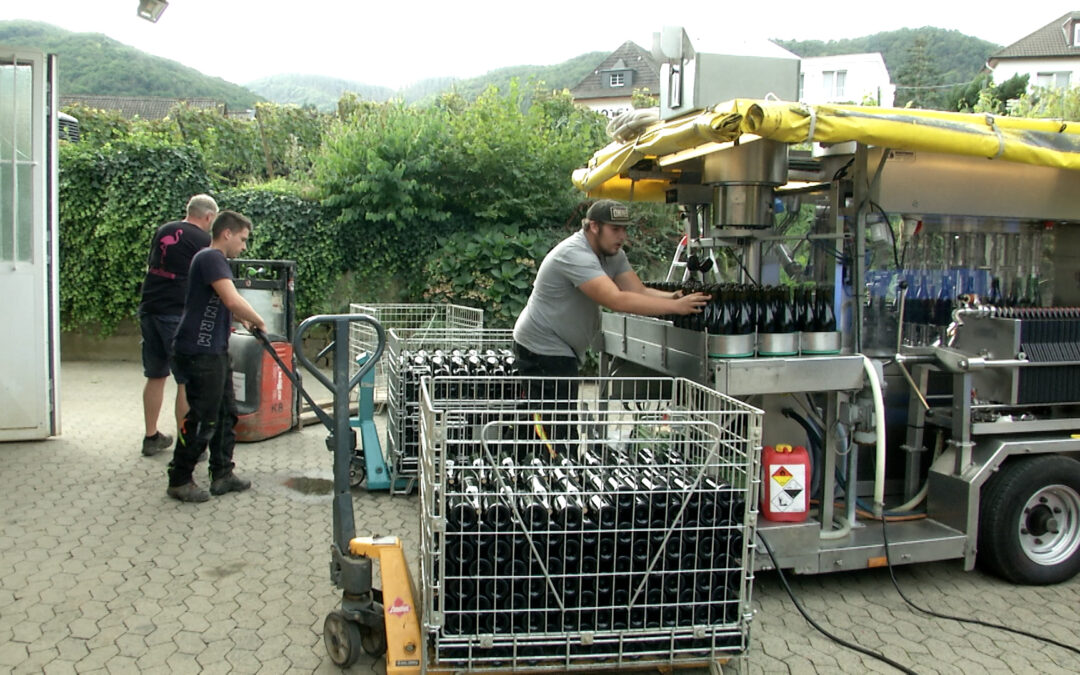 Winzer fordern höhere Aufbauhilfen