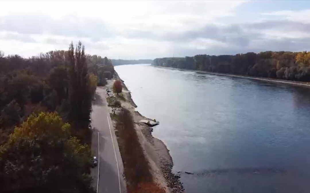 Wertvolle Bodenschätze im Rhein