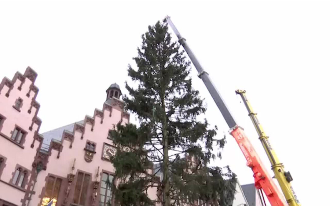 „Gretel“ verbreitet Weihnachtsstimmung am Römer