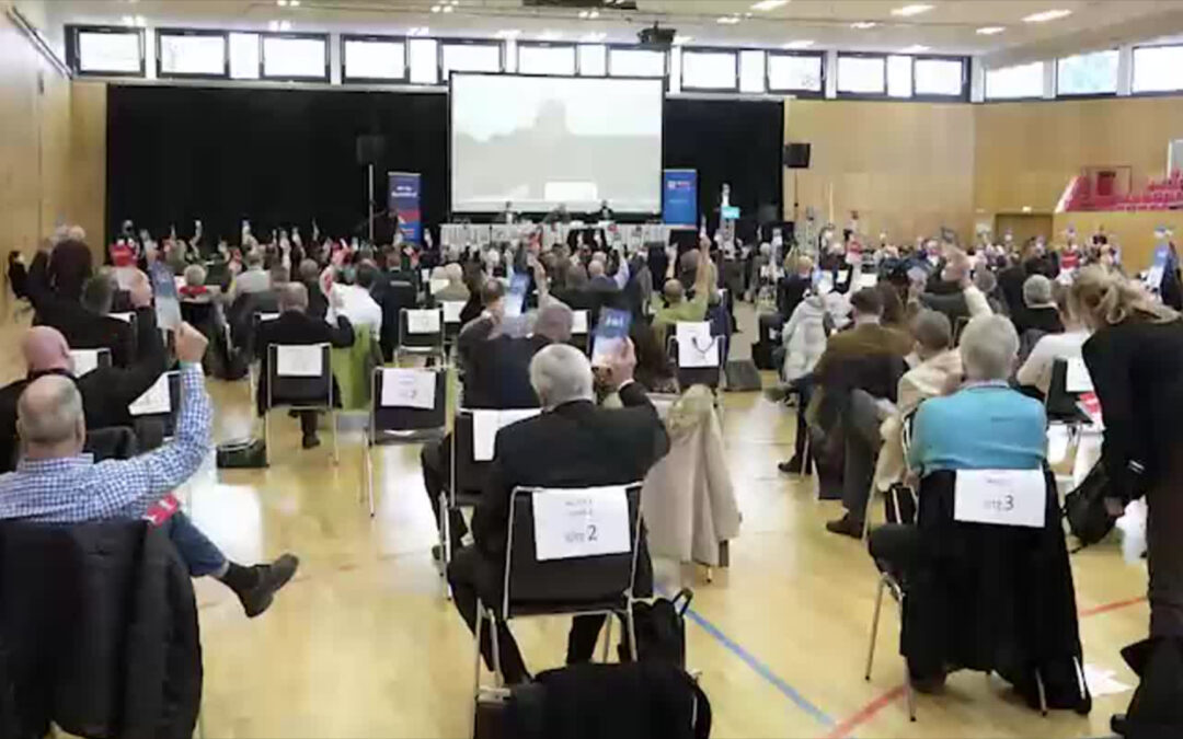 AfD-Parteitag in Frankfurt