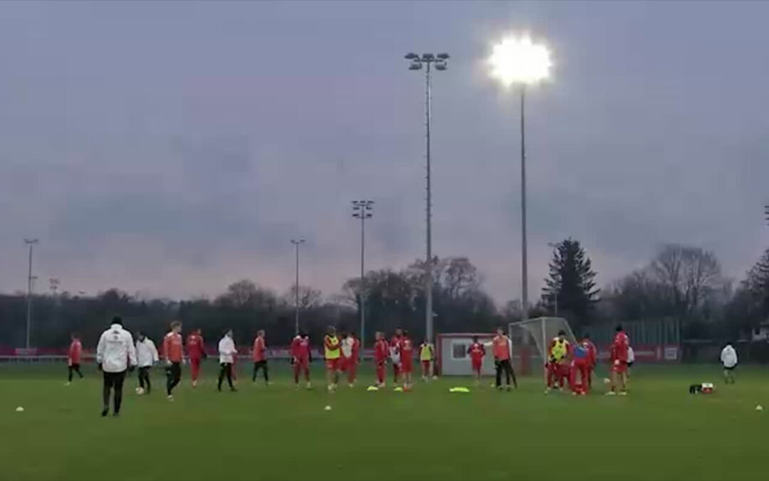 Mainz 05 in der Erfolgsspur
