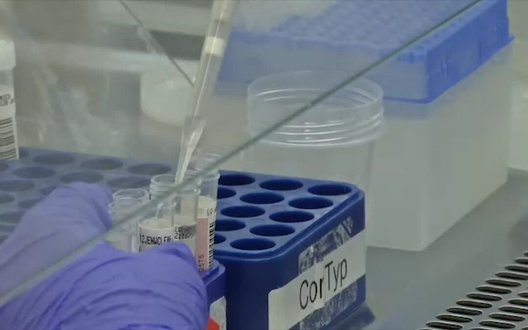 Run auf PCR-Tests