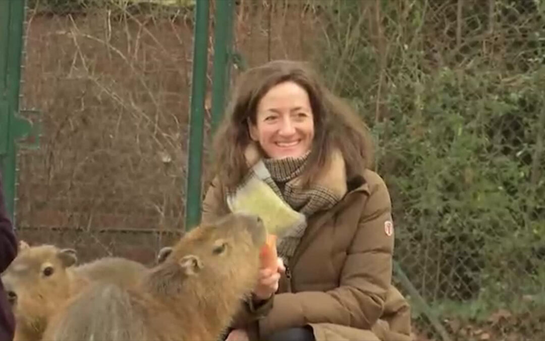Neue Chefin im Frankfurter Zoo