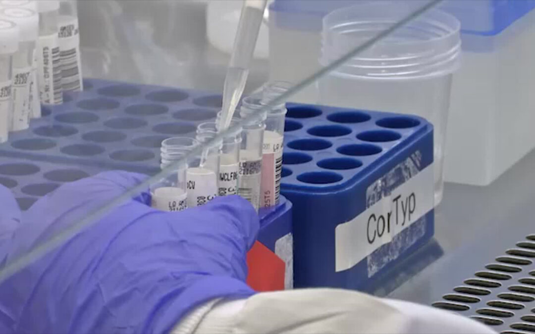 PCR-Testmöglichkeiten am Anschlag