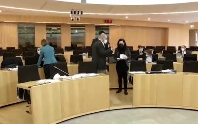 Hanau-Untersuchungsausschuss hört Experten zur Einsatztaktik