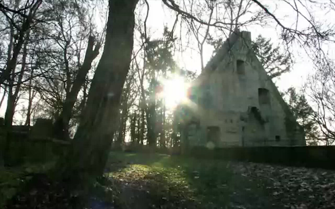 Hildegard von Bingen und das Kloster Disibodenberg