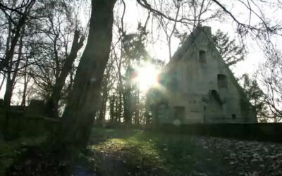 Hildegard von Bingen und das Kloster Disibodenberg