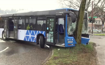 Schulbus prallt in Trier gegen Baum