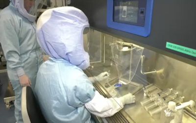 BioNTech erzielt Rekordgewinn