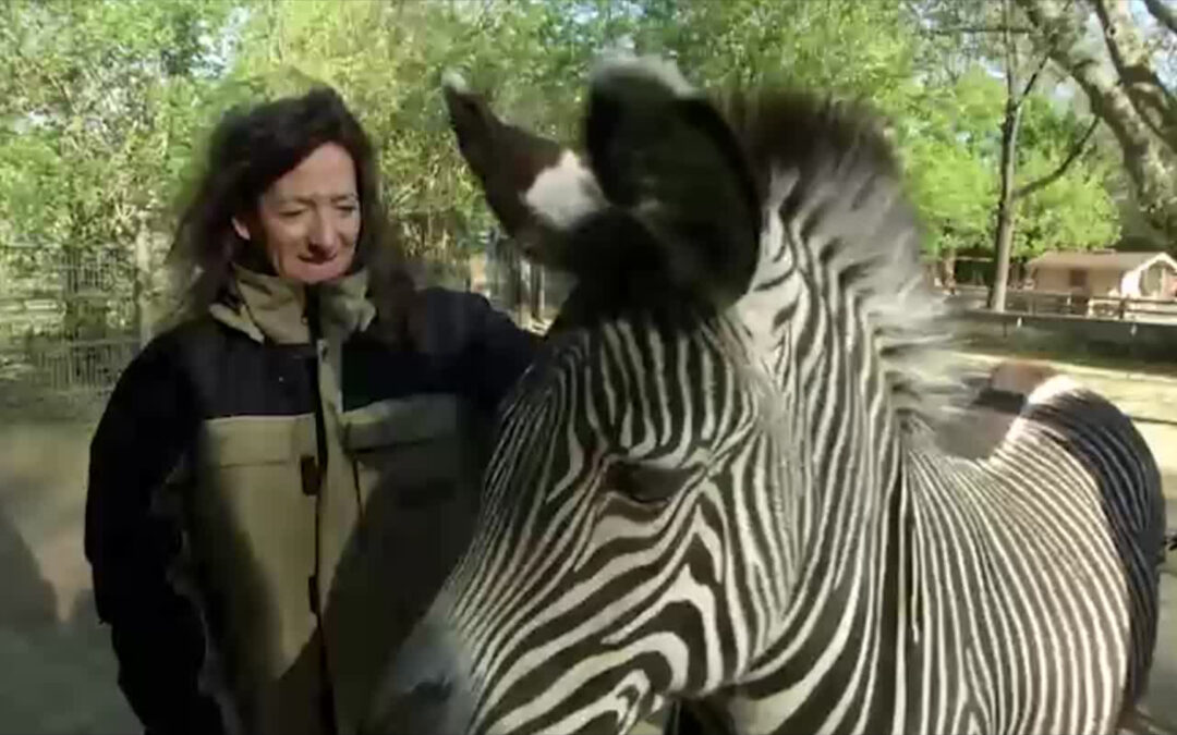 Unterwegs mit Christina Geiger: Was will die neue Zoo-Direktorin in Frankfurt verändern?