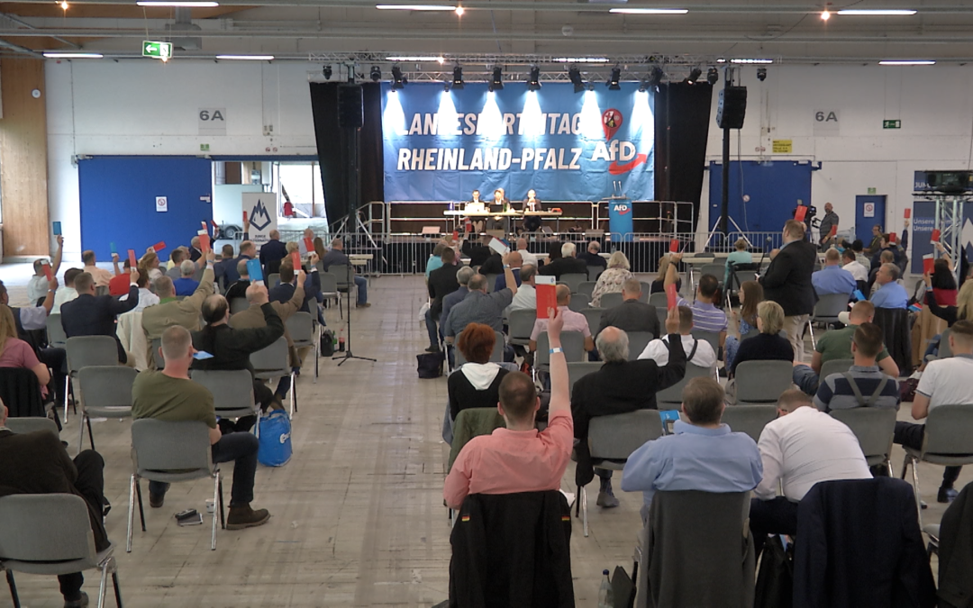 Landesparteitag der AfD in Pirmasens