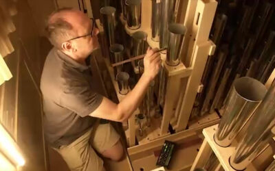 Mainzer Dom bekommt eine gigantische Orgel