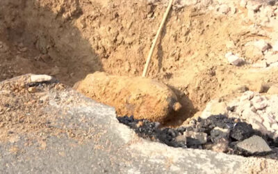 Weltkriegsbombe in Mainz entschärft