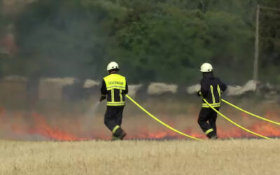 Feuerwehr trainiert Waldbrandbekämpfung