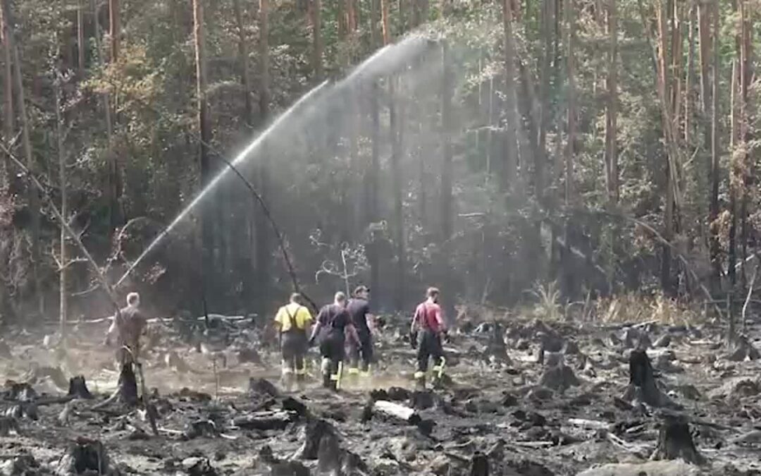 Feuerwehr kämpft seit Tagen gegen Waldbrand