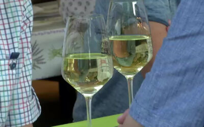 Deidesheimer Weinfest nimmt Eintritt