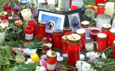 Hunde in Frankfurter Park vergiftet