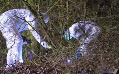 Zu lange Verfahrensdauer – verurteilter mutmaßlicher Mörder frei