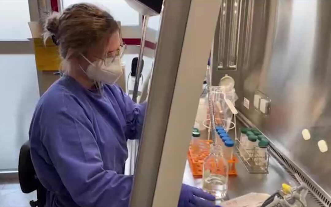 Bioscientia forscht nach Corona im Abwasser