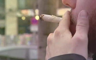 Cannabis-Legalisierung: Nicht jeder ist dafür