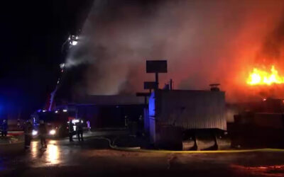 Millionenschaden bei Brand im Sägewerk