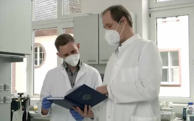 Granatäpfel sollen gegen Krebs helfen