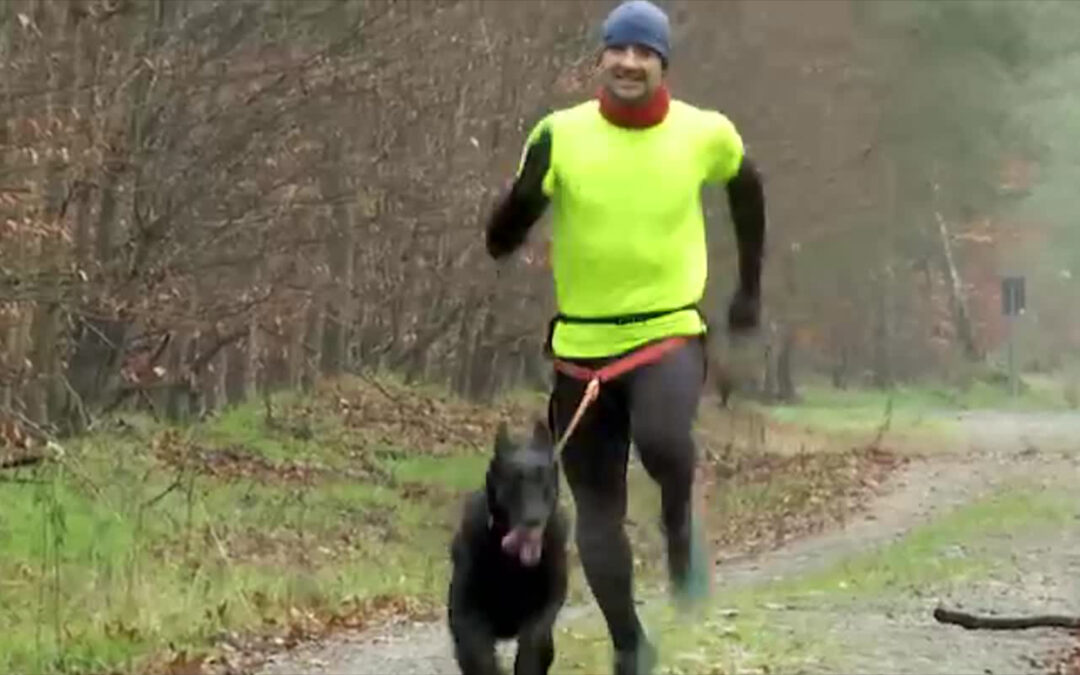 Canicross – Geländelauf mit Mensch und Hund
