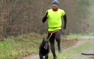 Canicross – Geländelauf mit Mensch und Hund