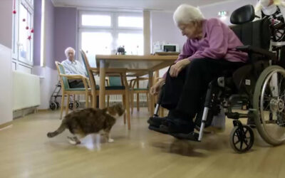 Mit der Katze im Altenheim