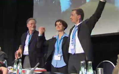 10 Jahre AfD