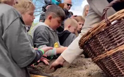 Kids an die Knolle