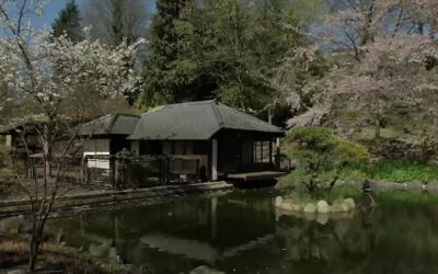 Japanischer Garten in Kaiserslautern