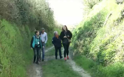 Wandertipp: Hohlwegeparadies in Alsheim