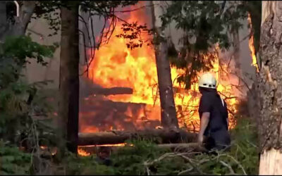 Waldbrand am Altkönig