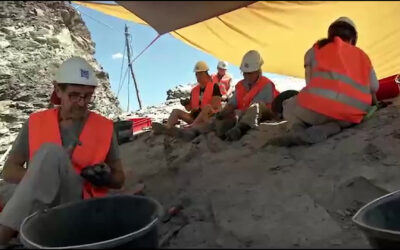 Dinosaurier-Spuren in der Pfalz