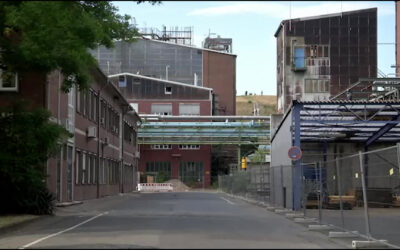 Neues Leben im alten Industriepark