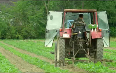 Nachhaltige Landwirtschaft in der Pfalz